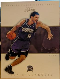 Peja Stojakovic