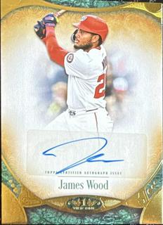 James Wood
