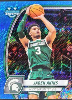 Jaden Akins