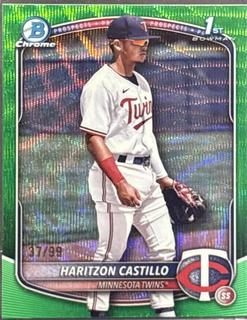 Haritzon Castillo
