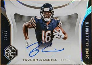 Taylor Gabriel