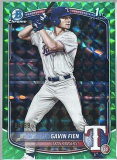Gavin Fien