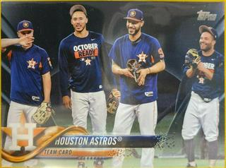 Houston Astros