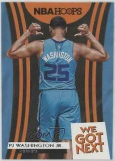 PJ Washington Jr.