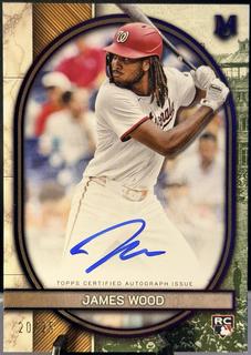 James Wood