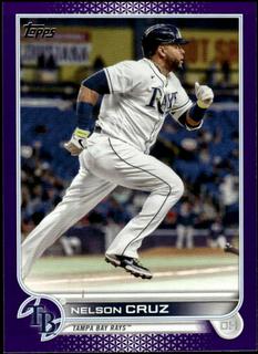 Nelson Cruz