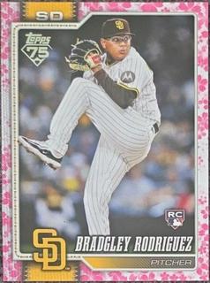 Bradgley Rodriguez