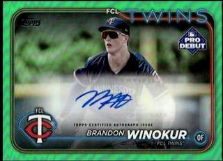 Brandon Winokur