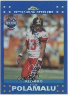 Troy Polamalu