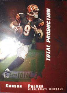 Carson Palmer