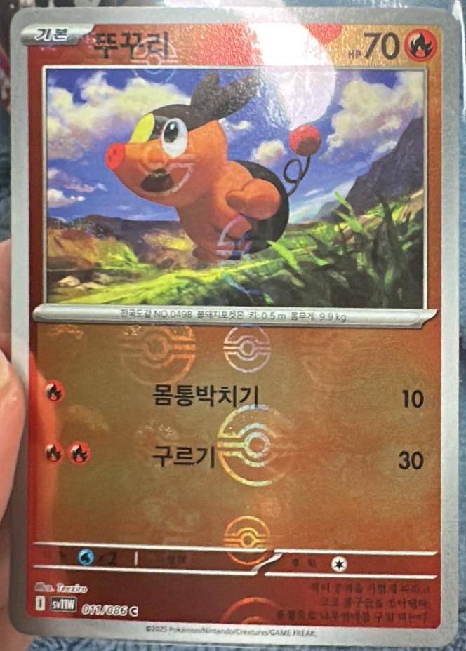 Tepig