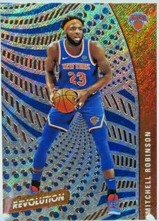 Mitchell Robinson