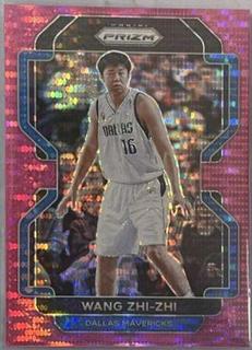 Wang Zhi-zhi