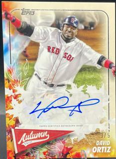 David Ortiz