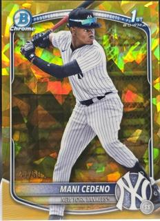 Mani Cedeno
