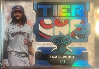 James Wood