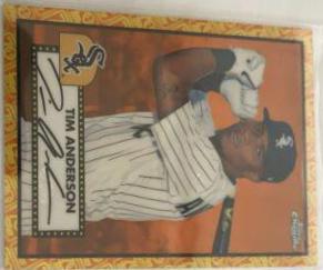 Tim Anderson