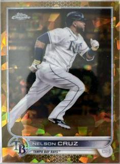Nelson Cruz