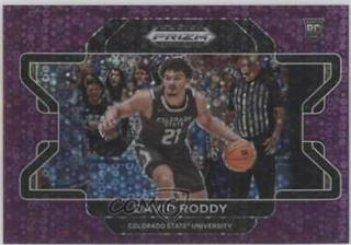 David Roddy