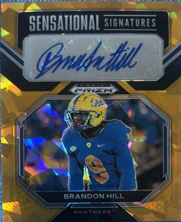 Brandon Hill