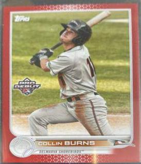 Collin Burns