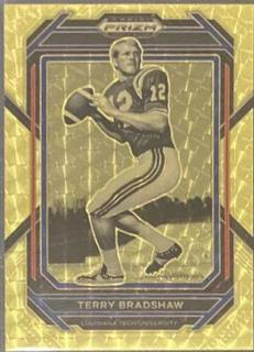 Terry Bradshaw