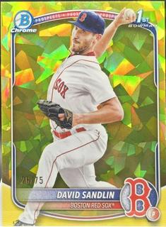 David Sandlin