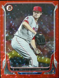 Tyler Skaggs