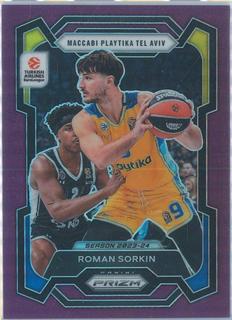 Roman Sorkin