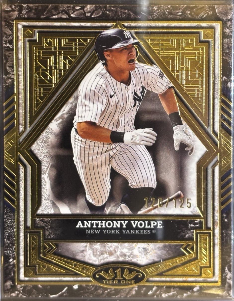 Anthony Volpe #39