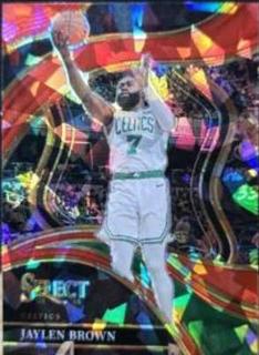 Jaylen Brown