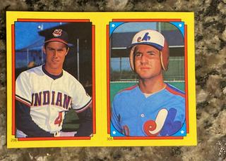 Scott Bailes, Casey Candaele, Alan Trammell #206, 305, 45