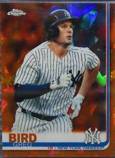 Greg Bird