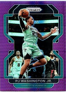 PJ Washington Jr.