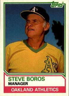 Steve Boros