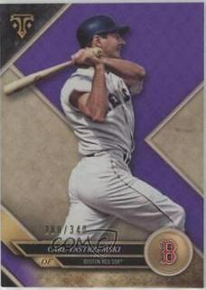 Carl Yastrzemski