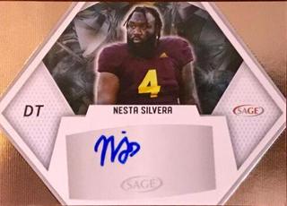 Nesta Silvera