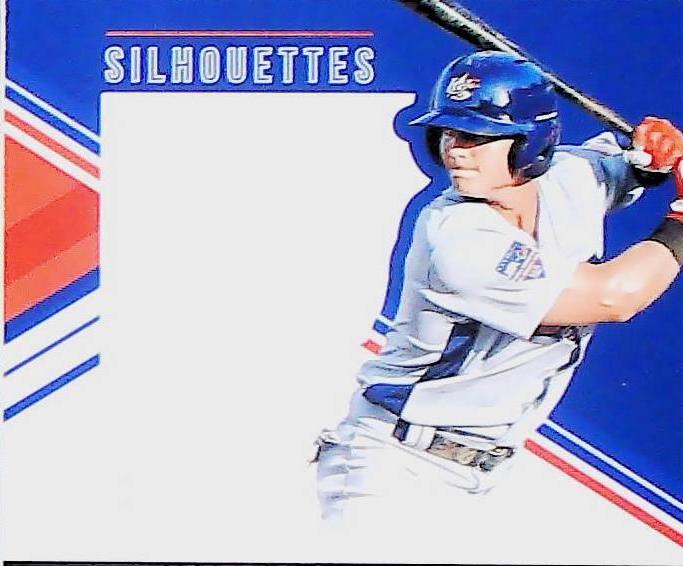 Steele Walker #21 Baseball Cards 2017 Panini USA Stars & Stripes