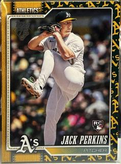Jack Perkins