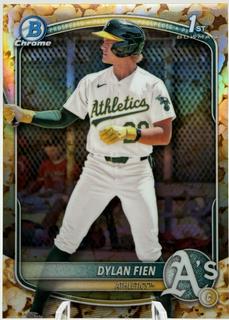 Dylan Fien