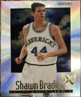 Shawn Bradley Credentials