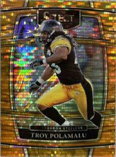Troy Polamalu