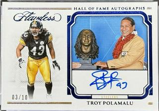 Troy Polamalu