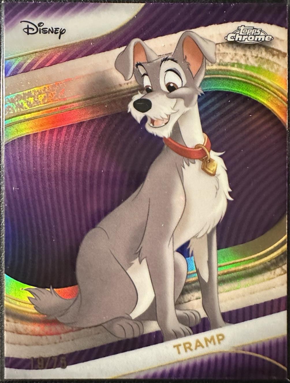 Tramp [Purple Wave Refractor] #71