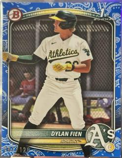 Dylan Fien