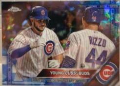 Young Cubs Buds