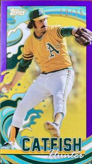 Catfish Hunter