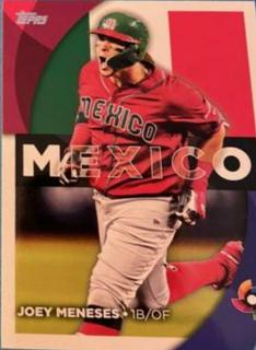 Joey Meneses