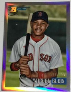 Miguel Bleis