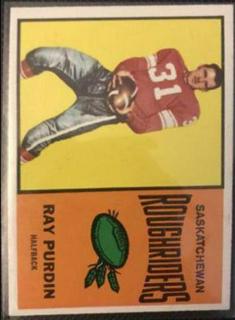 Ray Purdin
